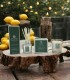 Lemongrass & White Cedar Scented Candle & Diffuser Set